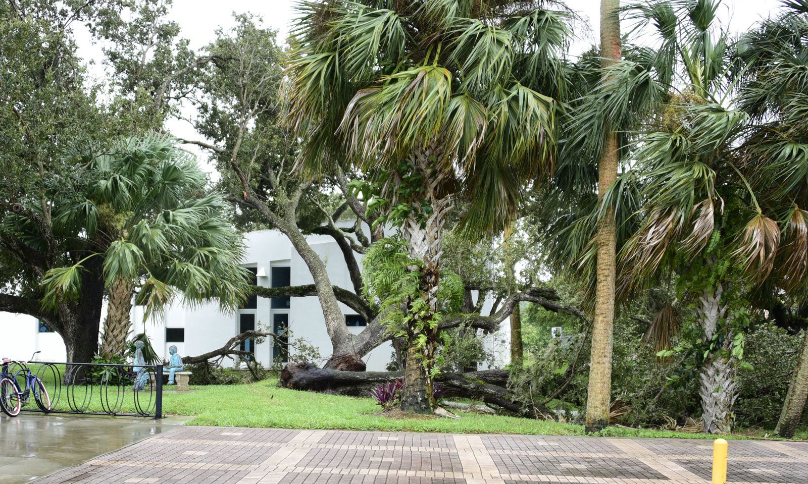 After Hurricane Dorian